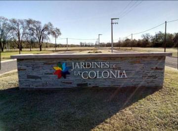 Foto · Vende Loteo Jardines de La Colonia Tu Hogar en Colonia Tirolesa