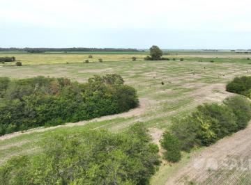 Campo · 550000m² · Campo - Carmen de Areco