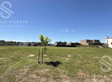 Terreno · 537m² · Lote Central - Santa Elisa