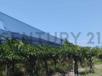 Campo · 160000m² · Venta de Finca en San Martin