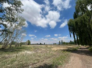 Campo , Las Compuertas · Venta de Finca 8has en Las Compuertas, Lujan de Cuyo