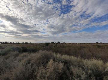 Campo , San Martín · Contacto Propiedades Vende Finca en San Martín
