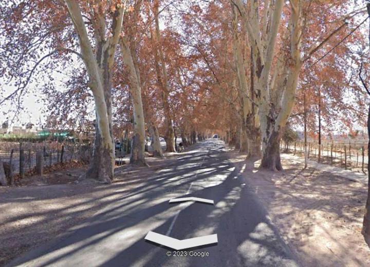 Campo · 80547m²
