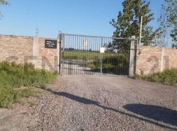 Terreno · 500m² · Century 21 Lucio Barroso Vende Lotes