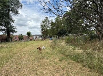 Terreno , Berazategui · Terreno en Venta - Gutierrez