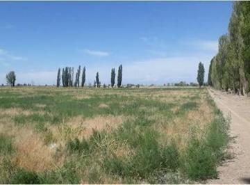 Campo , Luján de Cuyo · Licitación Abreviada Mejora de Ofertas - Fracciones Rurales, El Carrizal, Mendoza