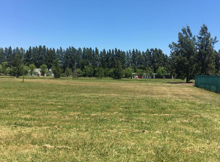 Terreno · 1260m²