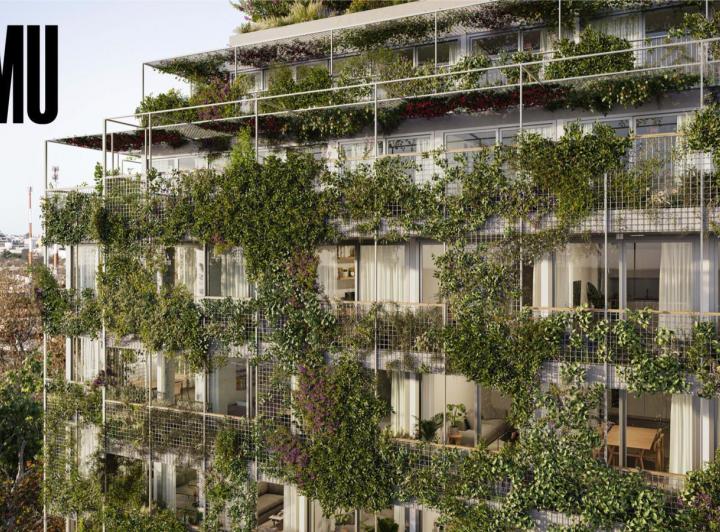 Desarrollo vertical · Comu