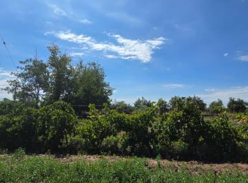 Campo , El Carrizal · Finca en Venta en Carrizal