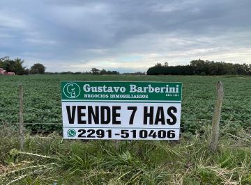 Campo , Miramar · Vendo 7 Ha Agricolas en Miramar - Sobre Ruta 88 - Paraje "La Ballenera" -.