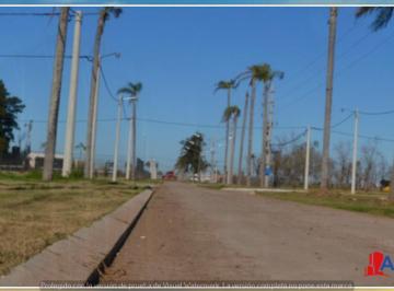 Terreno · 703m² · 1 Ambiente · Venta - Terreno - Roldan