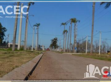 Terreno · 703m² · 1 Ambiente · Venta - Terreno - Roldan