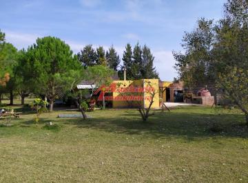Foto1 · Chacra en Oportunidad