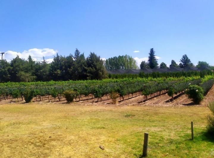 Campo · 107ha
