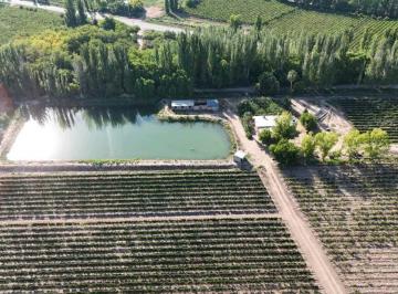 Campo · 300000m² · Venta de Excelente Finca 30 Has en Los Barriales Junin