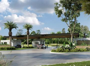 Terreno · 1300m² · Terreno en Technopolo