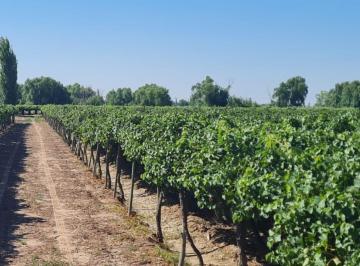 Campo , Colonia Segovia · Contacto Propiedades Inmobiliaria Vende Finca en Colonia Segovia
