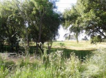 Campo · 10000m² · Chacra - Colonia del Sacramento