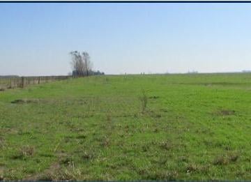 Campo de 18 ambientes, Chascomús · Vendo Campo en Ciudad de Chascomus Pcia. de Buenos Aires