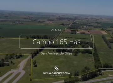 Campo · 6000m² · Campo en San Andres de Giles
