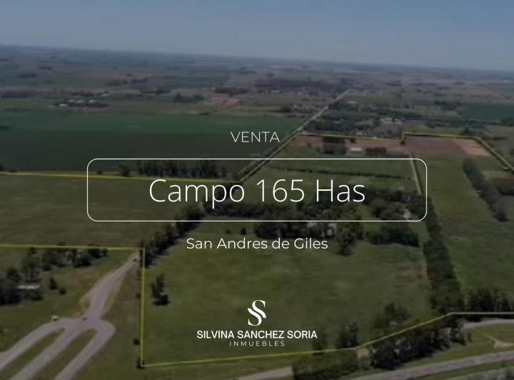 Campo · 6000ha