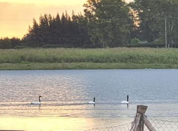 Campo · 19387m² · Venta Terreno Lote Unico Sobre Laguna Chacras del Paraná. Zárate. Buenos Aires