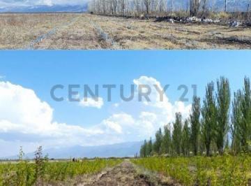 Campo · 50m² · Campo en Venta