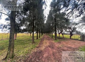 Campo , Cañuelas · Campo 450 Has, Gobernador Udaondo, Partido de Cañuelas, Buenos Aires.