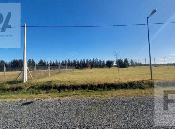 Terreno · 360m² · Venta. Terreno en 510 y 167. 360 m².
