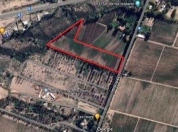Campo · 20000m² · Finca de Dos Hectáreas en Venta en Vistalba