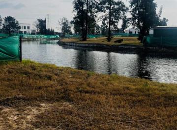 Terreno · 721m² · Terreno en Laguna Grande - 71 m²