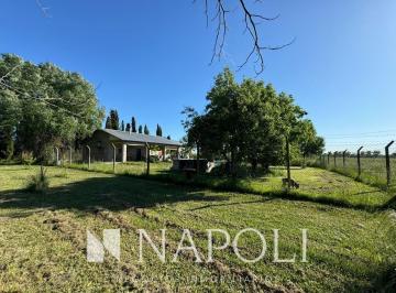 NNI-NNI-2853_2 · Alquiler de Campo Apto Comercial, Spegazzini - Ezeiza.