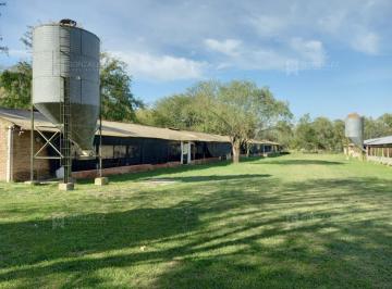 Quinta vacacional · 1800m² · 5 Ambientes · Casa Quinta en Venta en Pilar, G. B. a. Zona Norte, Argentina
