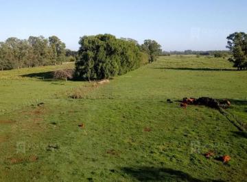 Campo · 460000m² · Terreno Campo en Venta en Pilar Centro, Pilar, G. B. a. Zona Norte
