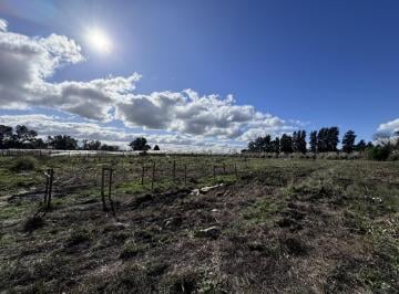 Terreno · 18000m² · 1 Ambiente · Terreno Hectarea y Media en Venta - Abasto con Escritura!