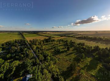 Terreno · 50000m² · Venta Lote Campo 5 Ha Arboleda. Todos Los Servicios. Exaltación de La Cruz