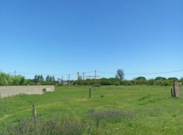 Terreno · 284m² · Terreno en Venta en Cayasta