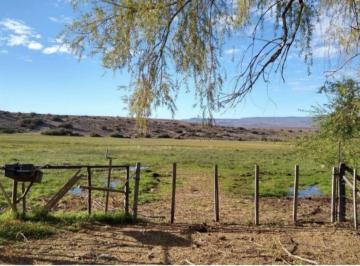 FRI-FZ1-1092_2 · Venta de Campo en Perito Moreno