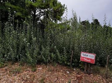 Terreno , San Bernardo · Lote en Zona Residencial de San Bernardo Ezcurra