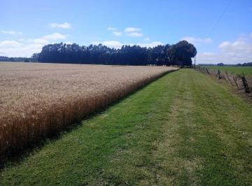 Campo · 15m² · Terreno Campo en Venta en Ruta 88, Mar del Plata, General Pueyrredón