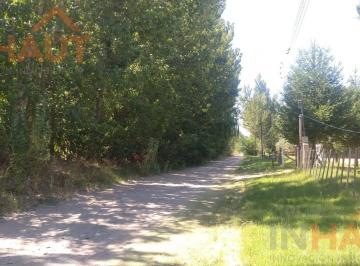 Campo · 33300m² · Chacra en Venta China Muerta Plottier