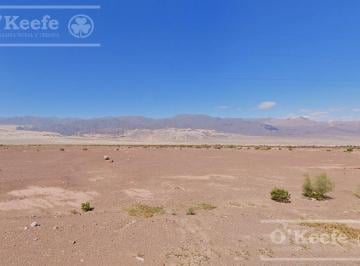 Campo · 7320000m² · Campo 732 Has en Venta Fiambala, Catamarca
