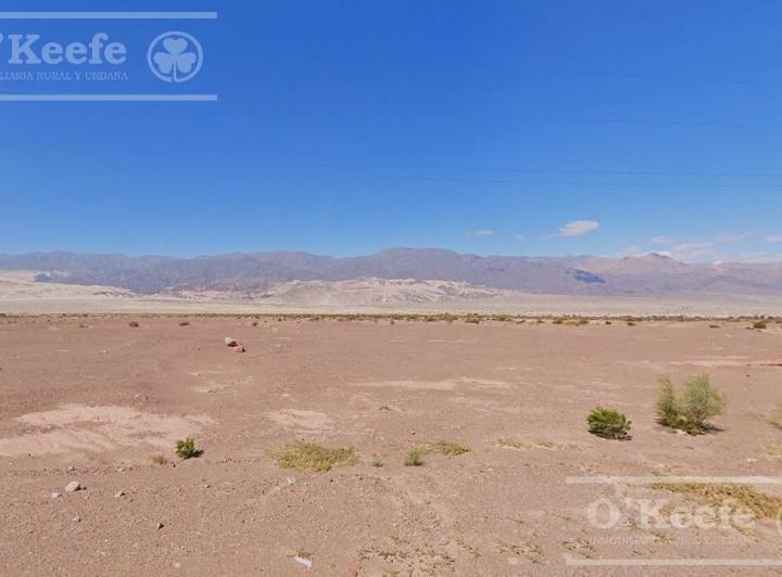 Campo · 7320000m²