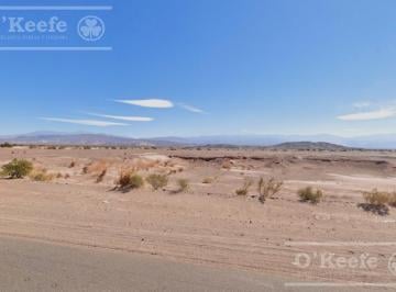 Campo · 1010000m² · Campo en Venta 101 Has Fiambala, Catamarca