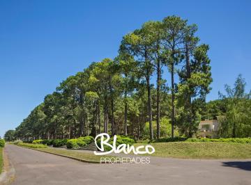 Terreno · 1760m² · Terreno Lote en Venta en Pinares Cc, Exaltación de La Cruz, G. B. a. Zona Norte