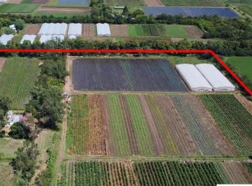 Campo · 90000m² · 1 Ambiente · Campo 8.43ha, Inversion Escobar
