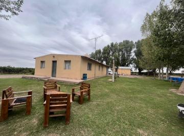 Campo · 60ha · Venta Finca Barrancas, Mendoza, 60 Ha