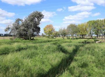 Campo · 41ha · Venta Campo 40,7 Ha Agrícolas en Lima