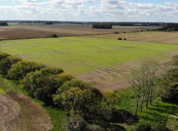 Campo · 83ha · Venta Campo 83,3 Hectáreas Agrícolas en Lima