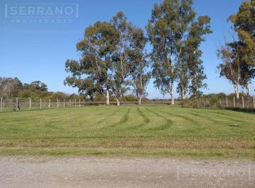 Terreno · 1947m² · Venta. Lote. 1947 m². Parque Sakura III. Exaltacion de La Cruz